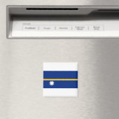 Nauru Flag Magneet (Insitu (Vaatwasser))