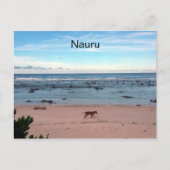 nauru-strandhond briefkaart (Voorkant)