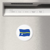 Nauru Vlag Magneet (Insitu (Vaatwasser))