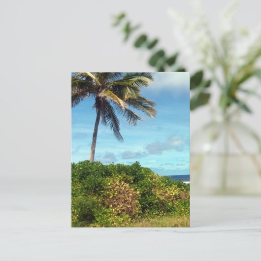 naurupalm briefkaart (Staand voorkant)