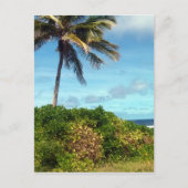 naurupalm briefkaart (Voorkant)