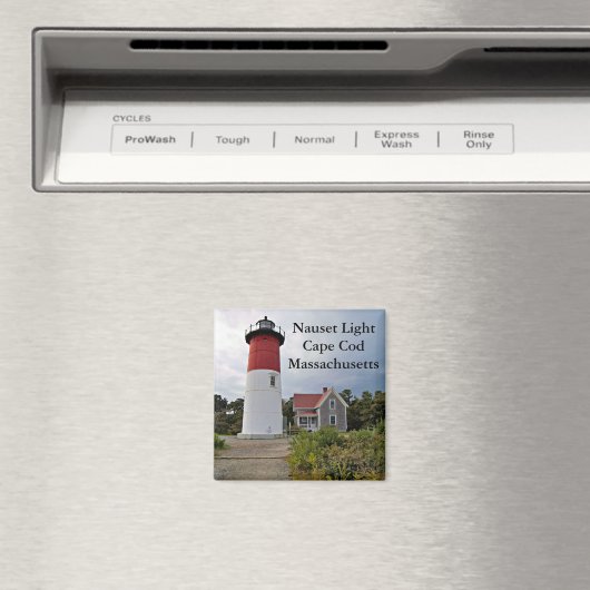 Nauset licht, Cape Cod, Massachusetts magneet (Insitu (Vaatwasser))