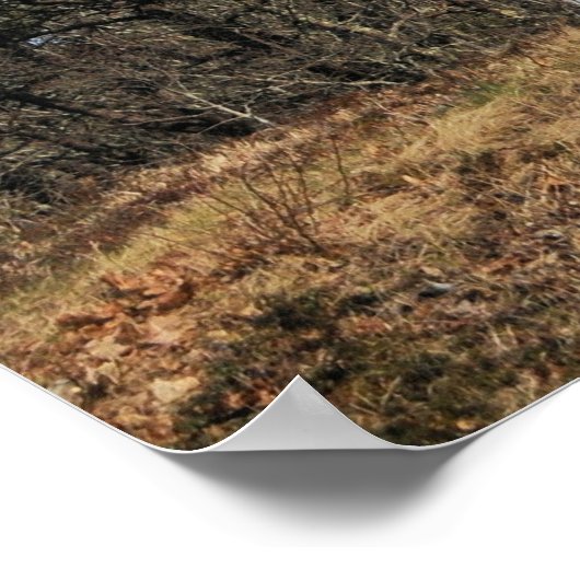 Nauset Lighthouse Poster (Hoek)