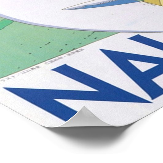 Nausicaa Glider Poster (Hoek)