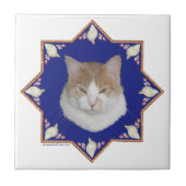 Nautical Alfie Cat Tegeltje (Voorkant)