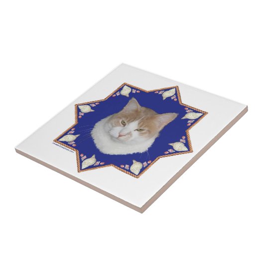 Nautical Alfie Cat Tegeltje (Zijkant)