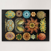 Nautical Ascidiae van Ernst Haeckel Legpuzzel (Horizontaal)
