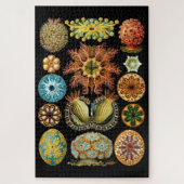  Nautical Ascidiae van Ernst Haeckel Legpuzzel (Verticaal)