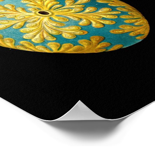  Nautical Ascidiae van Ernst Haeckel Poster (Hoek)