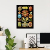 Nautical Ascidiae van Ernst Haeckel Poster (Thuiskantoor)