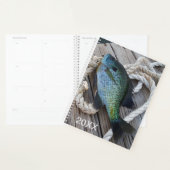 Nautical Blue Fish Wood Dock Foto kust Planner (Display)