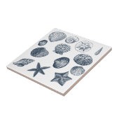 Nautical Blue Ocean shells Tegeltje (Zijkant)