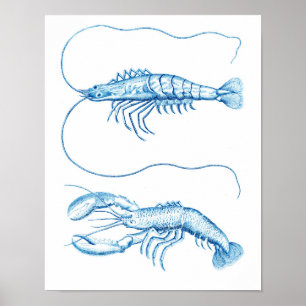 Nautical Decor No.6 Nautical Decor Poster