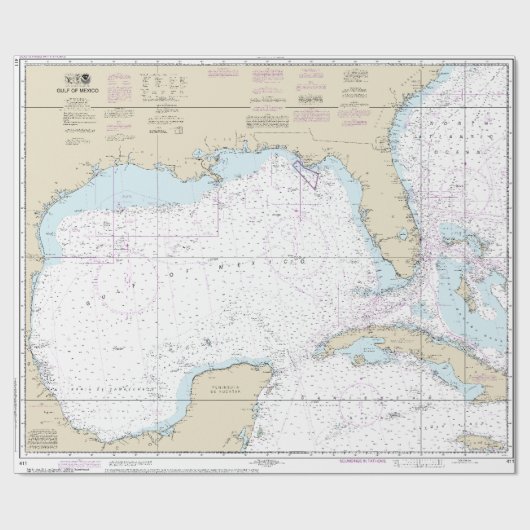 Nautical Florida Golf van Mexico Mariner's Grafiek Cadeaupapier (Vlak)