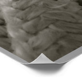 Nautical Knot Poster (Hoek)