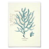 Nautical Mile Foto Afdruk (Voorkant)