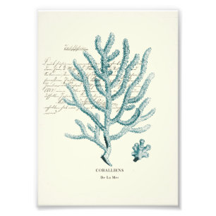 Nautical Mile Foto Afdruk