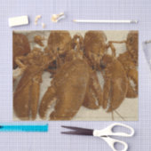 Nautical  Ocean Texture Lobster Tissuepapier (Craft)