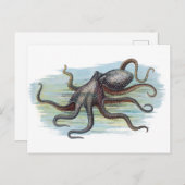  Nautical - Octopus Monster van de Diep Briefkaart (Voorkant / Achterkant)