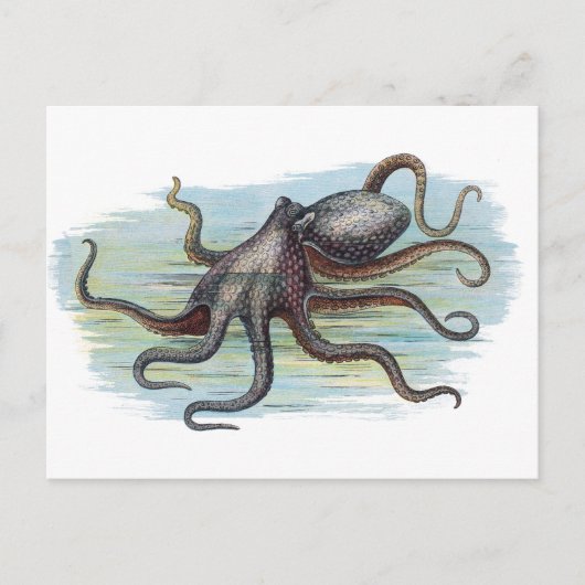  Nautical - Octopus Monster van de Diep Briefkaart (Voorkant)