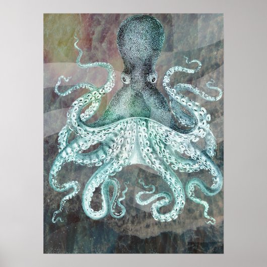 Nautical  Octopus Poster (Voorkant)