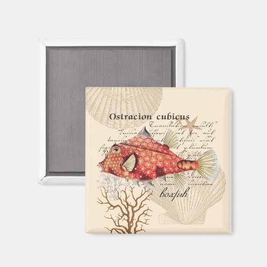  Nautical Oranje Boxfish Illustratie Magneet (Voorkant / Achterkant)