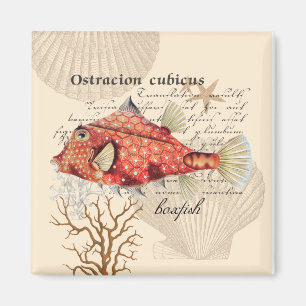  Nautical Oranje Boxfish Illustratie Magneet