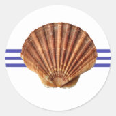 Nautical Seashell - Circle Sticker (Voorkant)