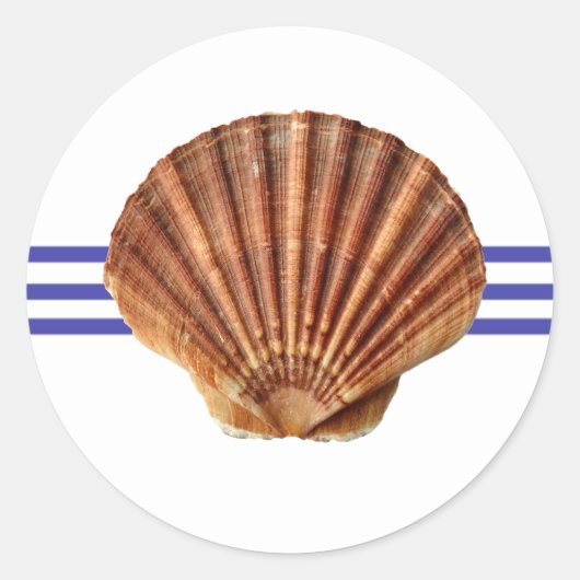Nautical Seashell - Circle Sticker (Voorkant)