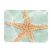 Nautical Starfish in Water Magneet (Horizontaal)