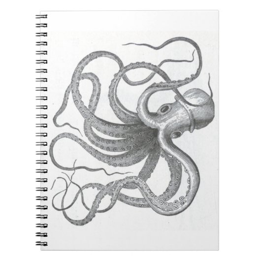 Nautical steampunk octopus  preppy kraken notitieboek (Voorkant)