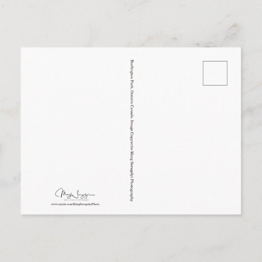 Nautical Summer Beach Front Blue Trendy Briefkaart (Achterkant)