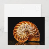 Nautiel, gouden schelp briefkaart (Voorkant / Achterkant)
