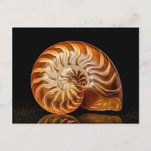 Nautiel, gouden schelp briefkaart (Voorkant)