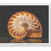 Nautiel, gouden schelp sticker (Voorkant)