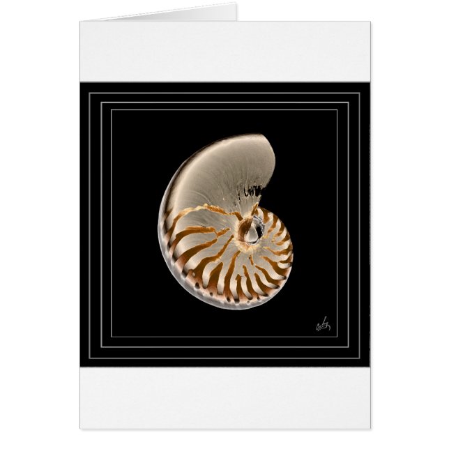 nautilus (Voorkant)