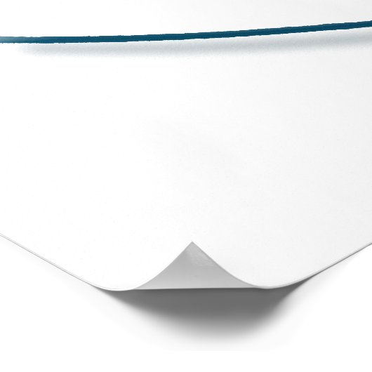 Nautilus 2 poster (Hoek)