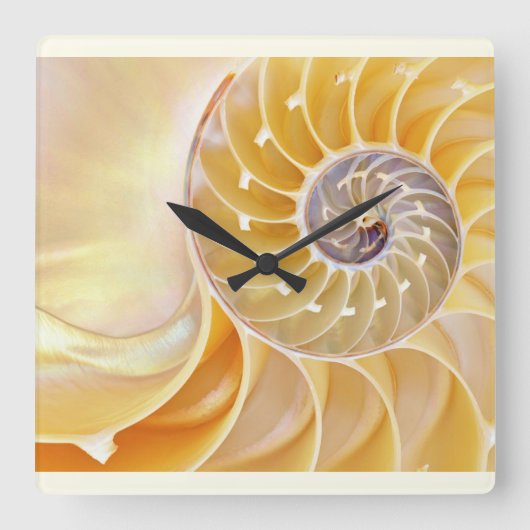 Nautilus Acryl Wandklok (Voorkant)