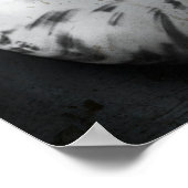 Nautilus BW Poster (Hoek)