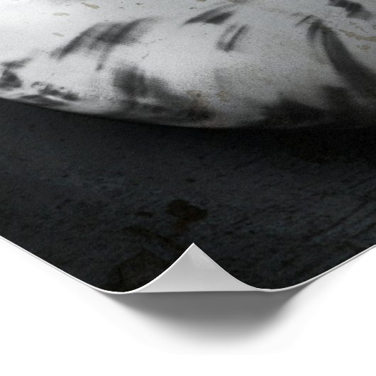 Nautilus BW Poster (Hoek)