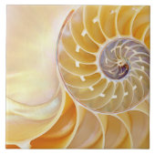 Nautilus Ceramic Tile Tegeltje (Voorkant)