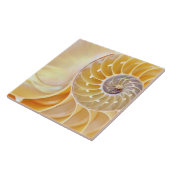 Nautilus Ceramic Tile Tegeltje (Zijkant)