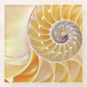 Nautilus glass Onderzetter