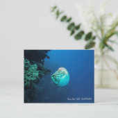 Nautilus Great Barrier Reef Coral Zee Briefkaart (Staand voorkant)