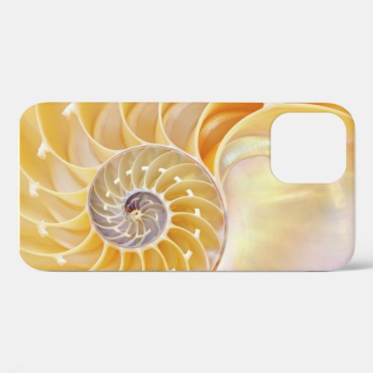 Nautilus iPhone case (Achterkant (horizontaal))
