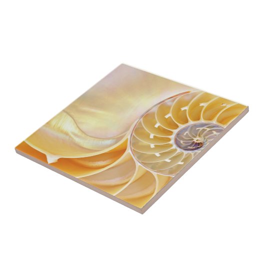 Nautilus keramische Tegel Tegeltje (Zijkant)