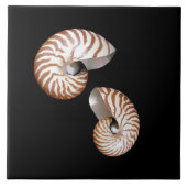 Nautilus keramische tegel tegeltje (Voorkant)