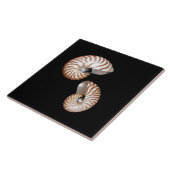 Nautilus keramische tegel tegeltje (Zijkant)