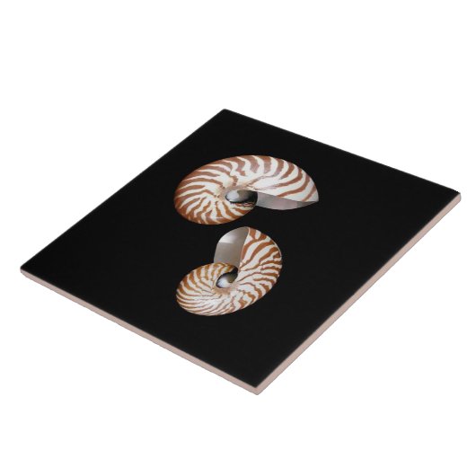 Nautilus keramische tegel tegeltje (Zijkant)