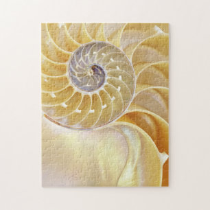 Nautilus Legpuzzel